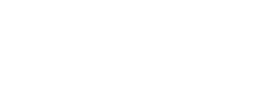 Take Flight Business Logo